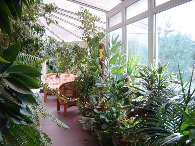 Зимний сад своими руками в комнате – как сделать зимний сад на балконе, особенности обустройства домашней оранжереи своими руками на лоджии